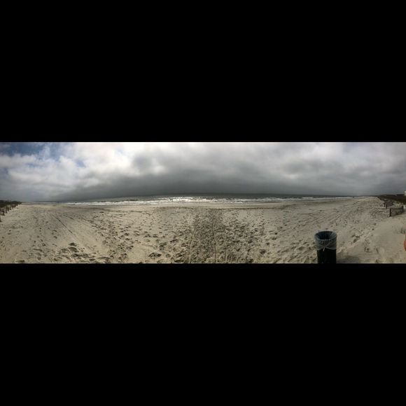 Meet your Posher, Addie - Picture 1 of 1